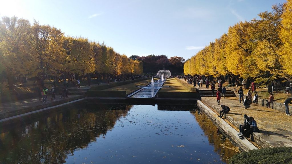 日本にいながら秋のヨ－ロッパの公園を彷彿させる景色です。
