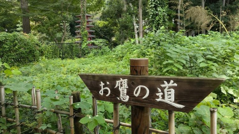 国分寺崖線（がいせん）、湧水めぐり