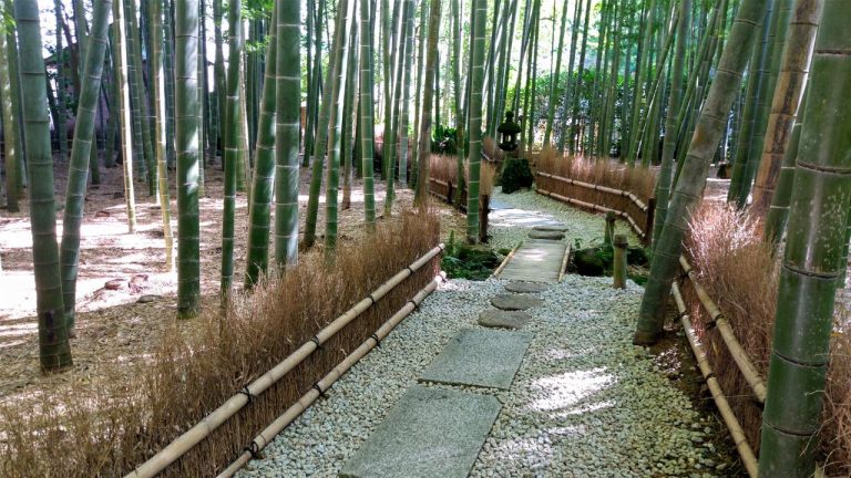 鎌倉の竹寺、「報国寺」と「英勝寺」